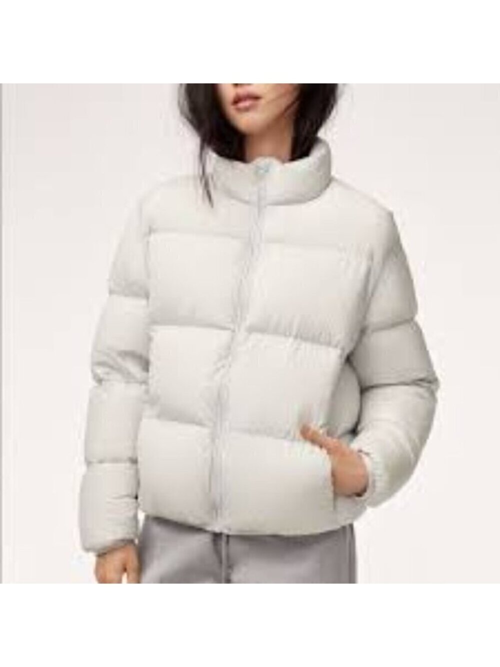 Aritzia The Group By Babaton Park City Puffer M - Picture 2 of 11